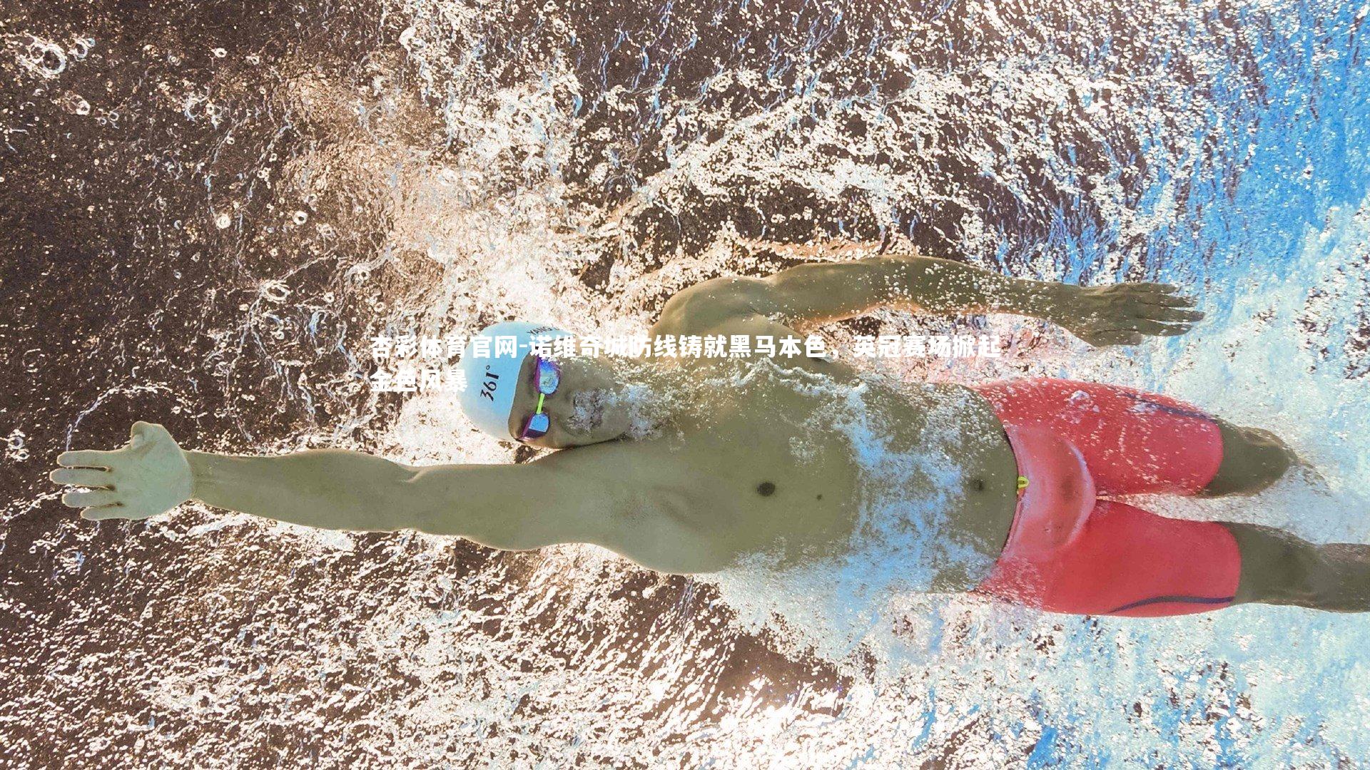 诺维奇城防线铸就黑马本色，英冠赛场掀起金色风暴